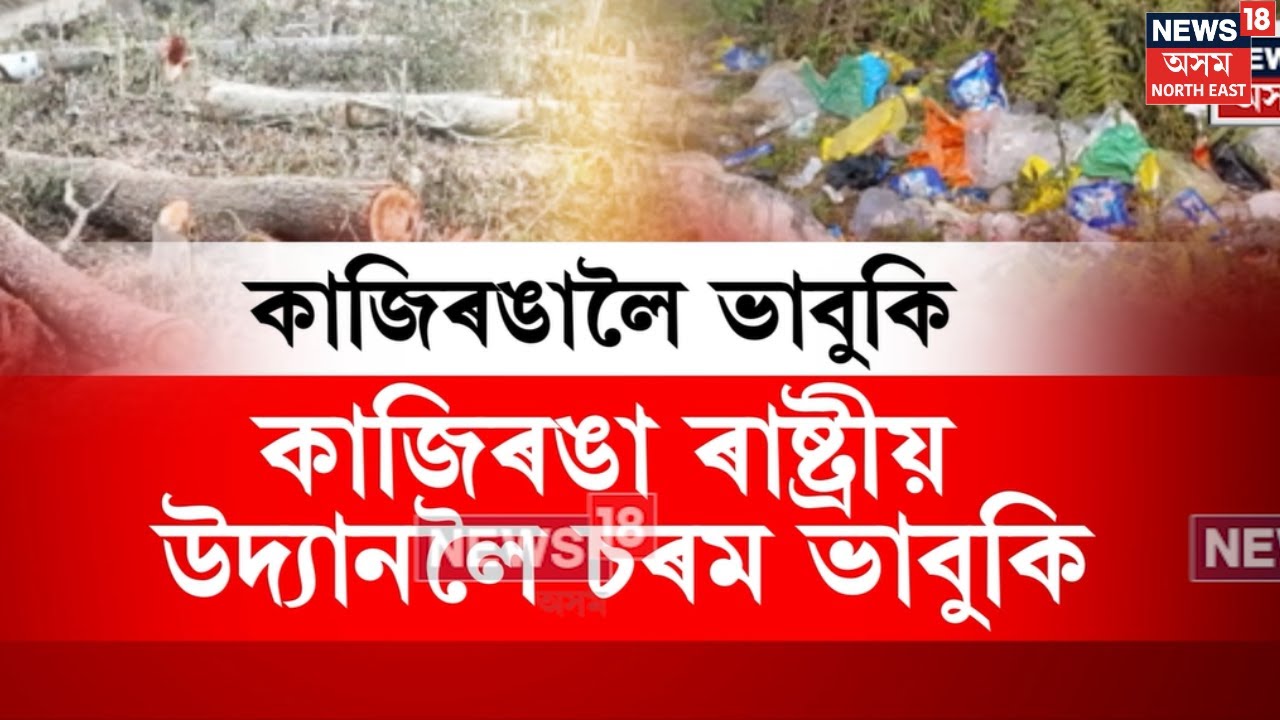 Kaziranga National Park | কাজিৰঙা ৰাষ্ট্ৰীয় উদ্যানলৈ চৰম ভাবুকি | N18V