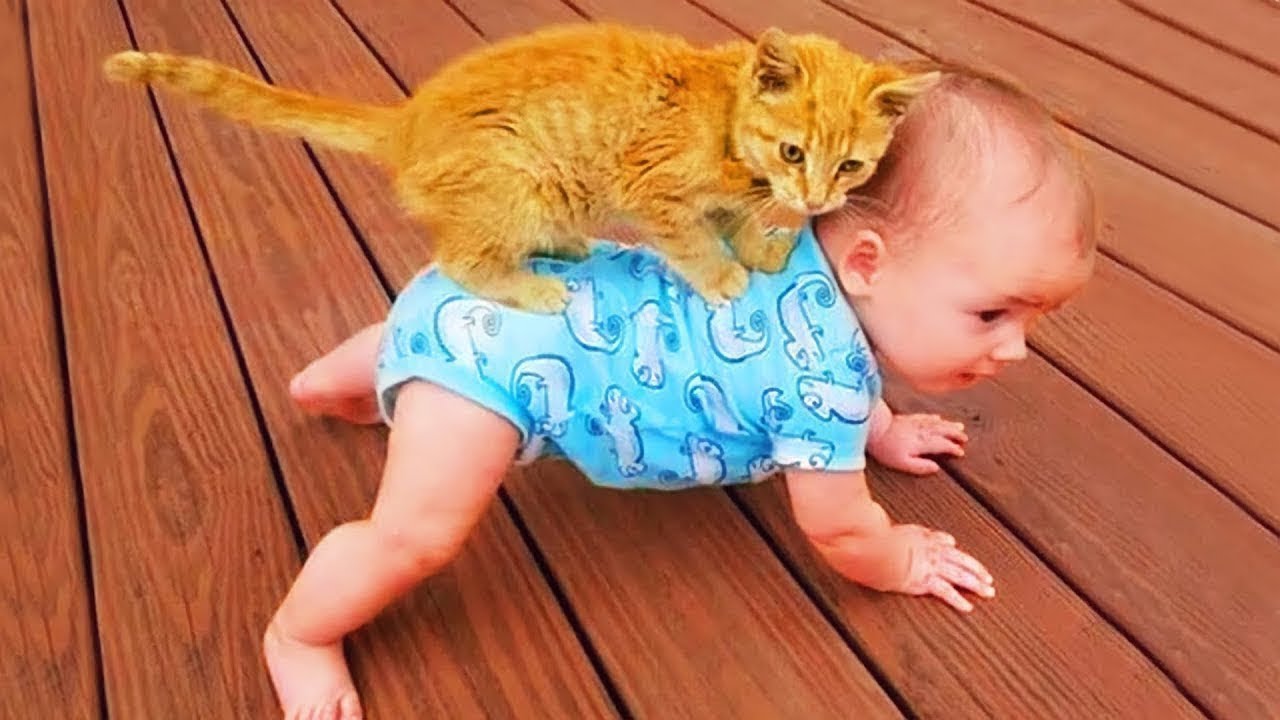 🥇 When Cats Become Baby’s Personal Bodyguards 😻👶