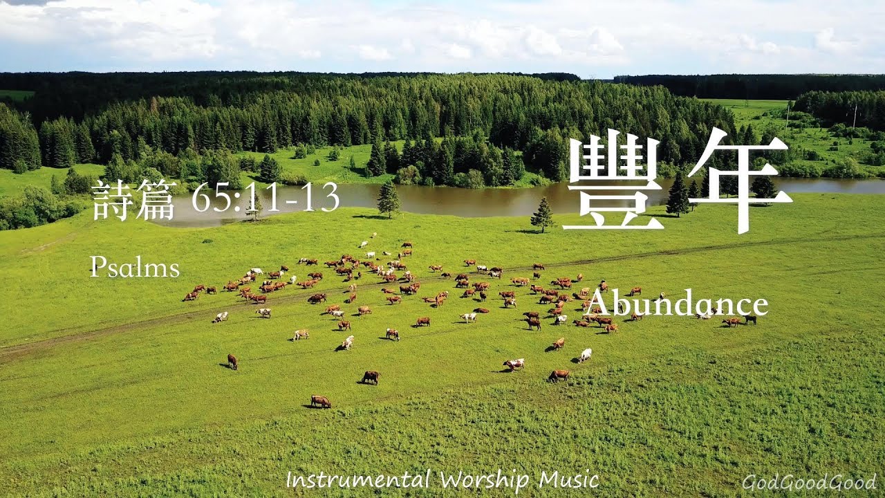【詩篇65:11-13】豐年｜等候神音樂｜Instrumental Worship Music｜靈修禱告音樂｜Soaking｜Prayer｜ピアノ賛美｜ソーキング音楽｜Psalms｜QT｜輕音樂