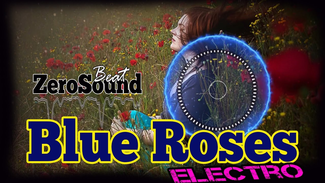 Blue Roses - Sandra Brostrom