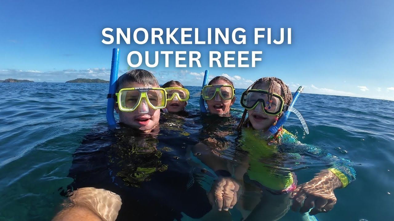 The Most Incredible Snorkeling Experience!