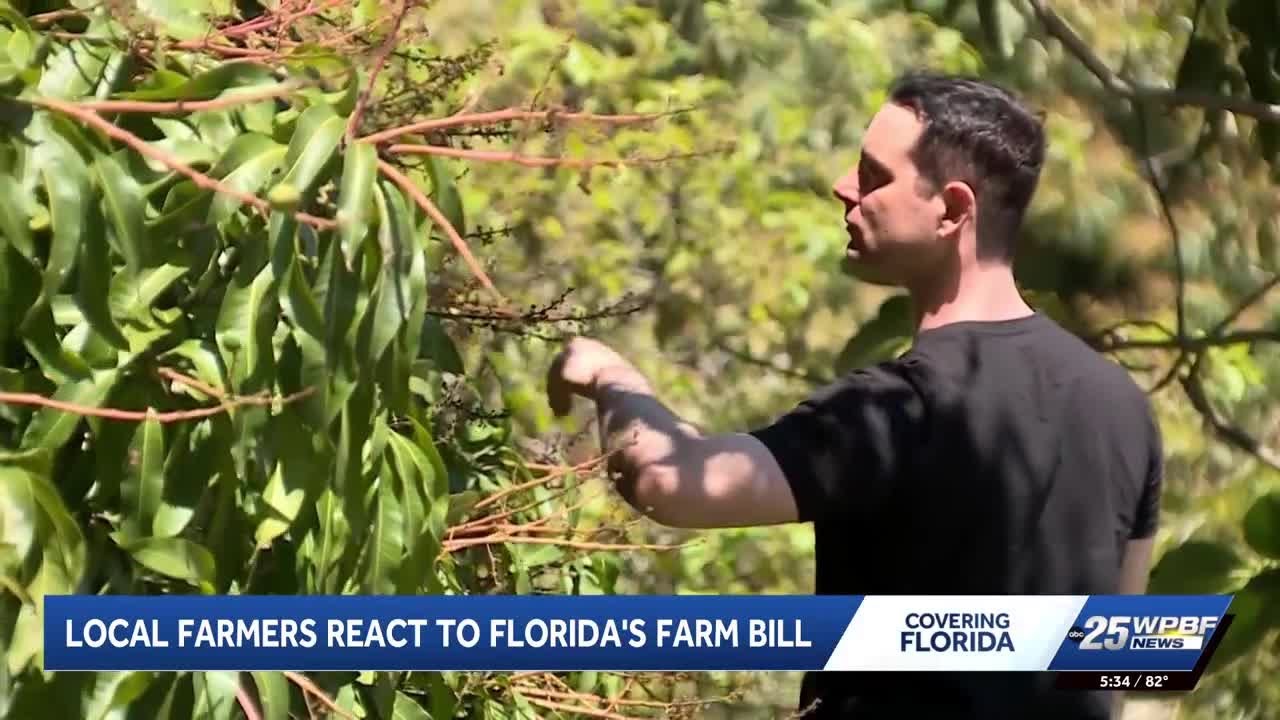 Florida's new farm bill aims to protect agriculture and support farmers