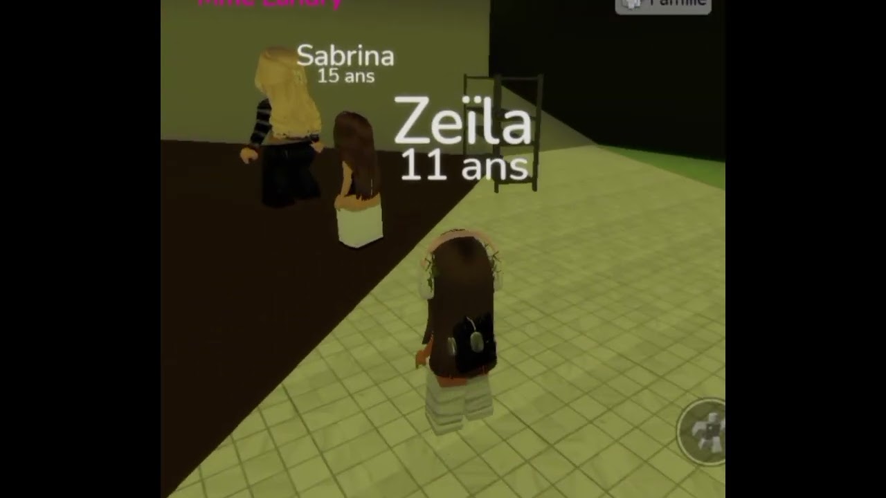 On nous kidnappe sur brookhaveun RP 