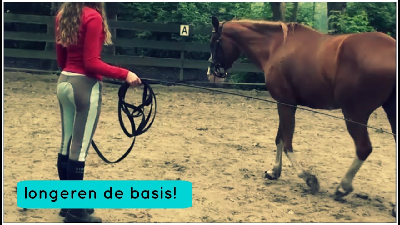 longeren met je paard! | Just Horse Friends