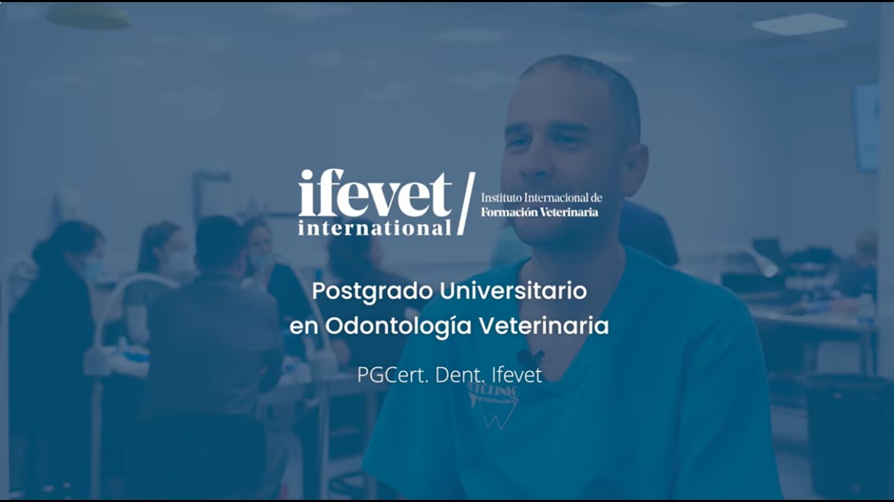 Postgrado Odontologia | Entrevista alumno - Ayoze