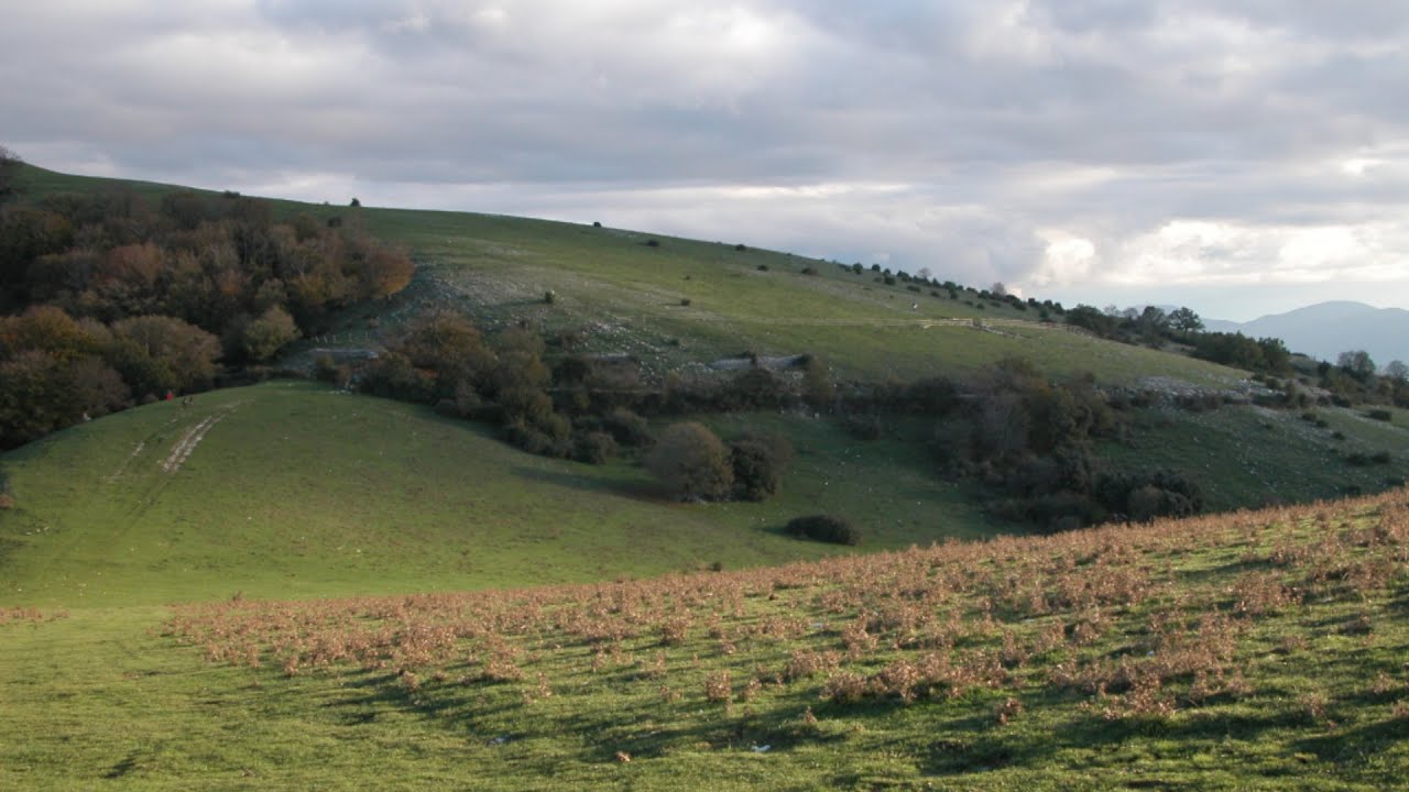 Germinal Cimarelli - Partigiani Contro