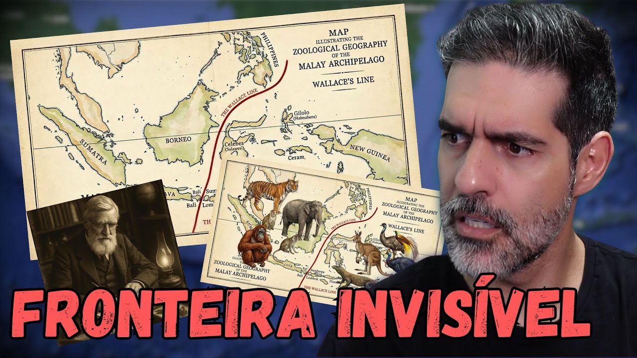 O mistério da LINHA DE WALLACE: por que NENHUM ANIMAL cruza ela?