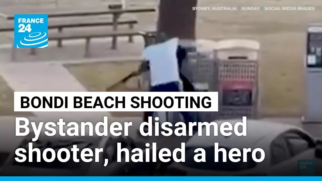 Bystander who wrestled gun from Bondi shooter hailed a hero &bull; FRANCE 24 English
