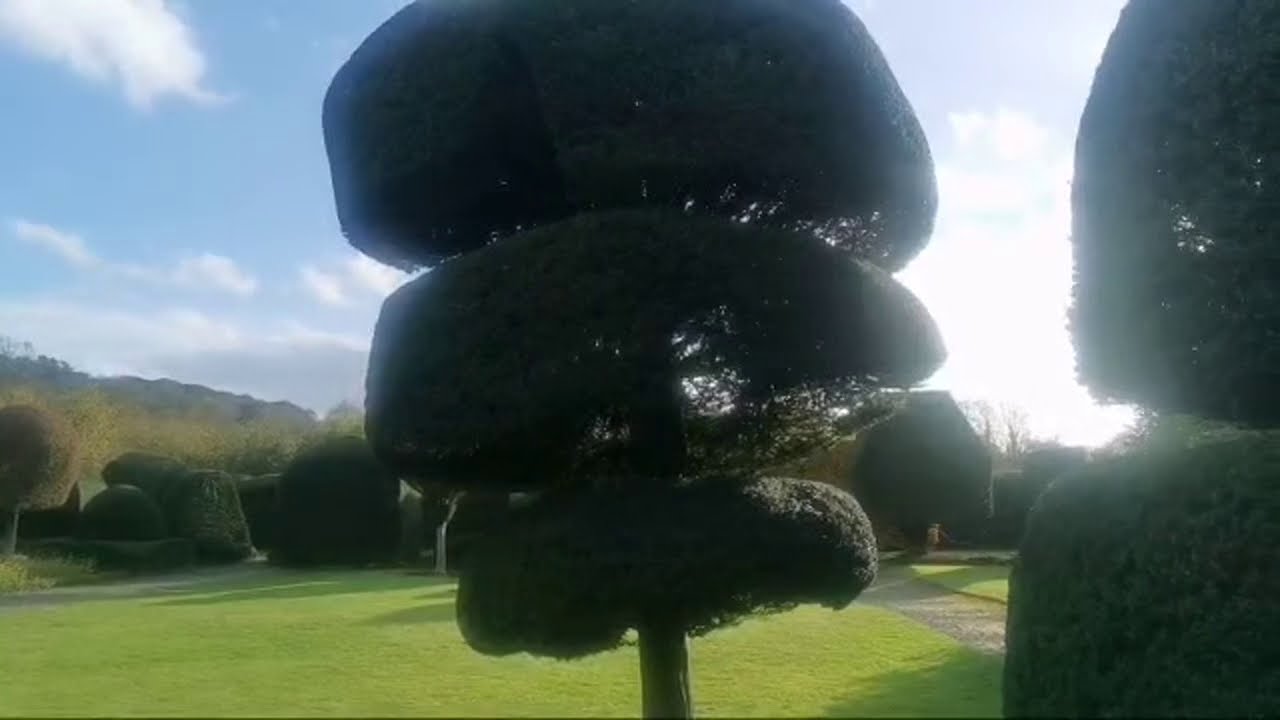 England's Oldest Garden 17th century-  Levens Hall