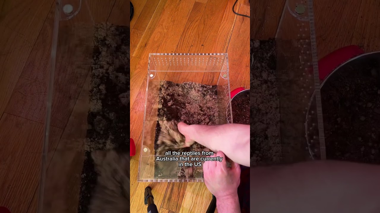 1 year later, I found one