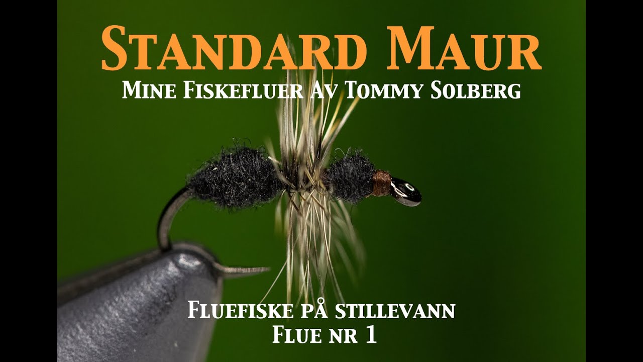 Standard Maur. Fluefiske på stillevann 2022, maur, tørrflue, fluebinding og imitasjonsfluefiske
