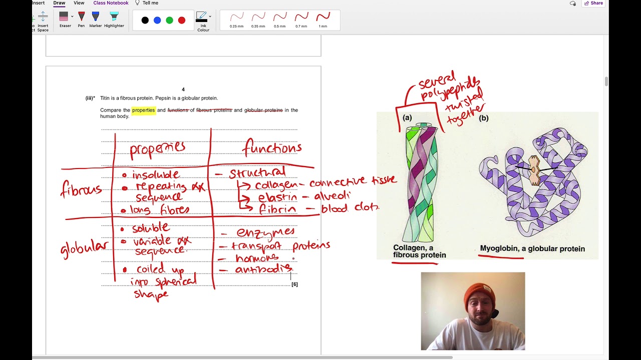 Depth in Biology 2018 Paper Runthrough (OCR A Level Biology AS)