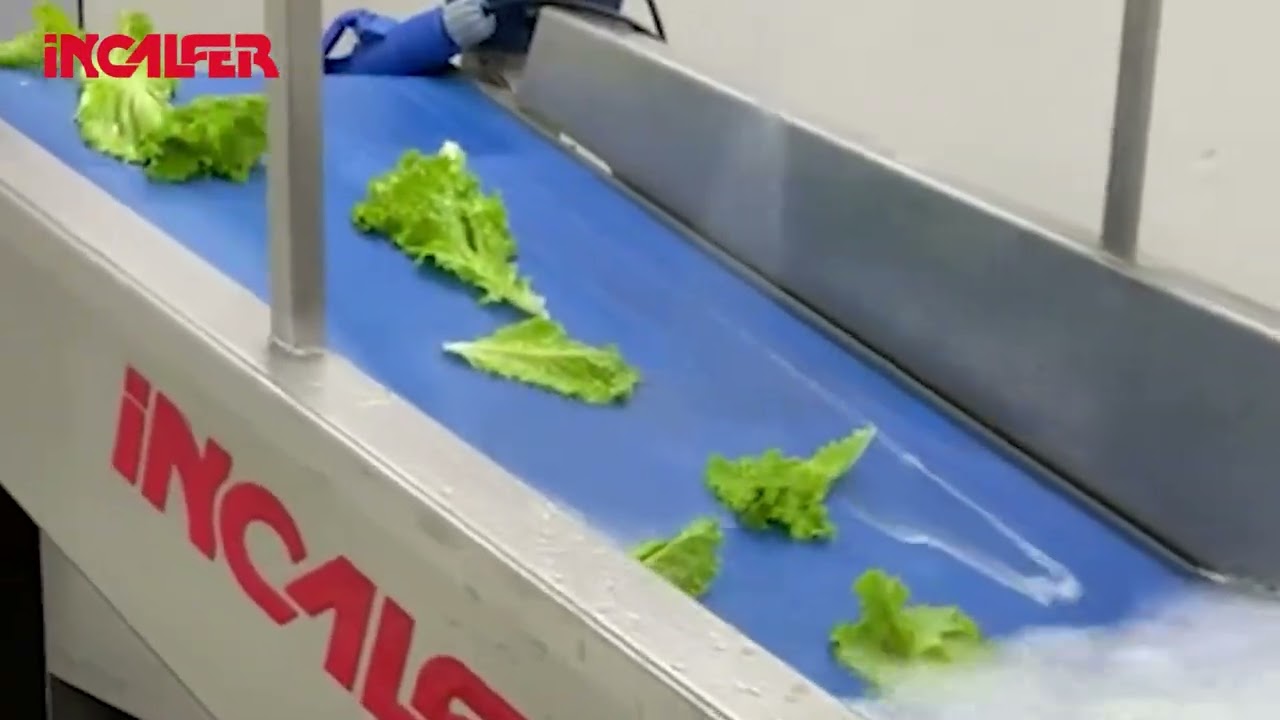 Lavadora de Vegetais Industrial HN510C da Incalfer: Eficiência na Lavagem de Vegetais de Folha