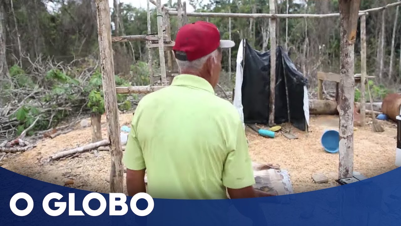 O garimpo ilegal em terras ianomâmi