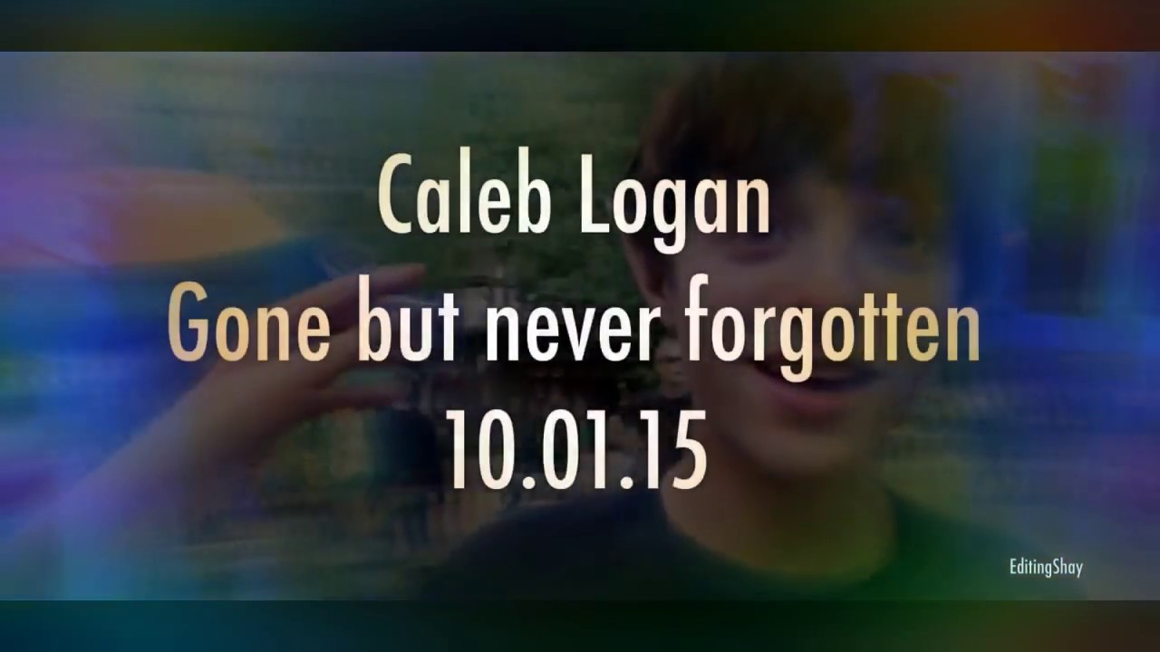 Caleb Logan | Supermarket flowers