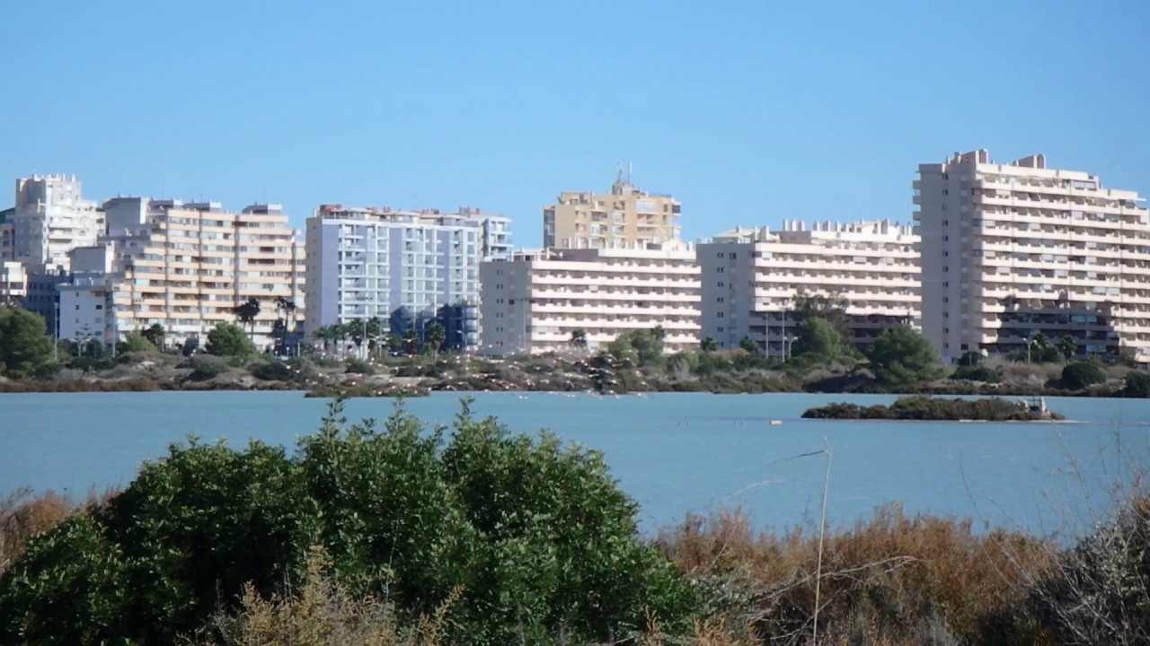 FLAMENCOS EN LAS SALINAS DE CALPE