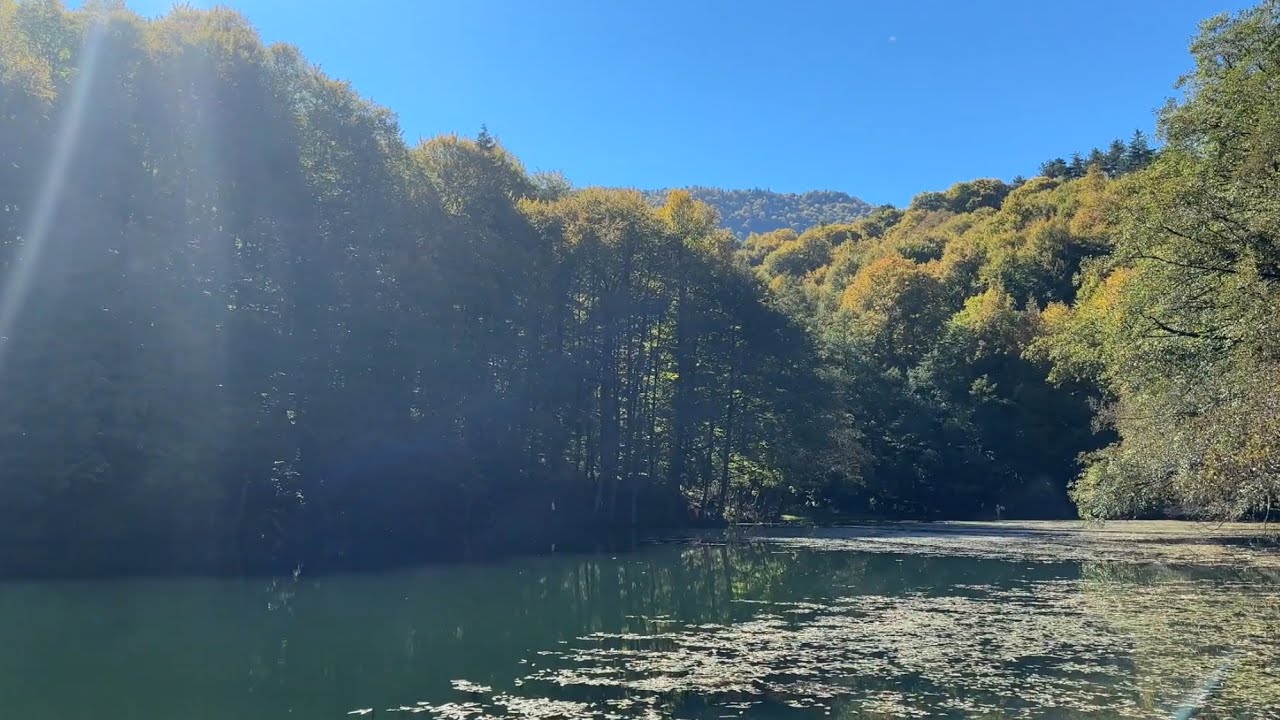 4 | Yedigöller National Park with its unique nature | DailyVlog | A National Park in Turkey 🍁