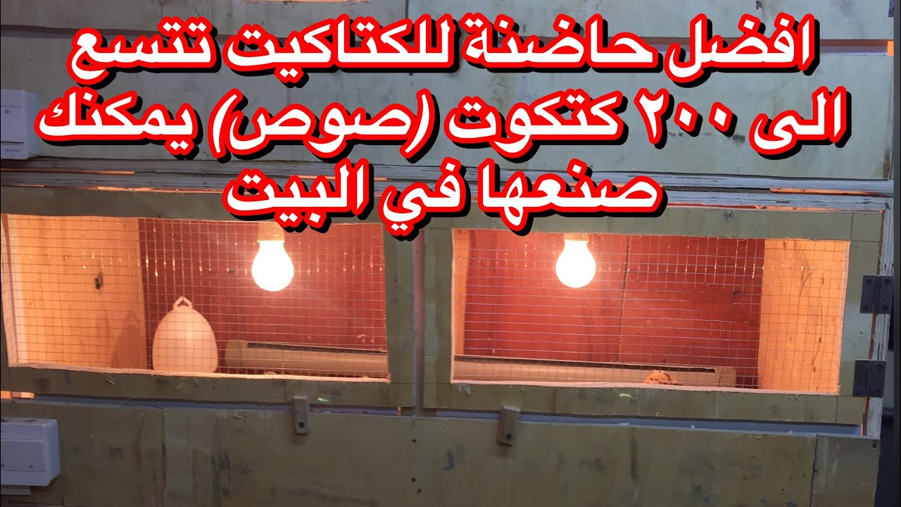 كيف تصنع حاضنة للكتاكيت في المنزل بتكلفة بسيطه شاهد هذا الفيديو ولان تندم