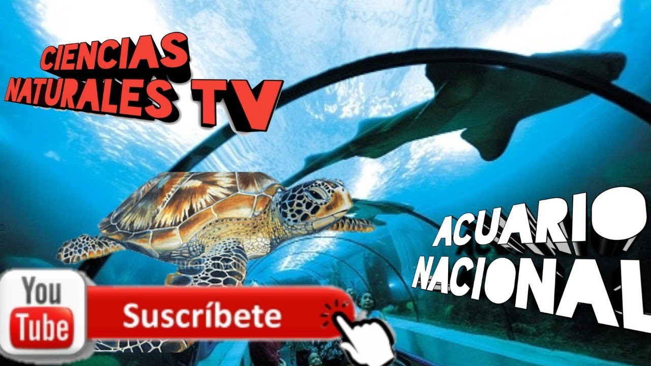 Acuario Nacional de Santo Domingo República Dominicana 🇩🇴 Parte #1