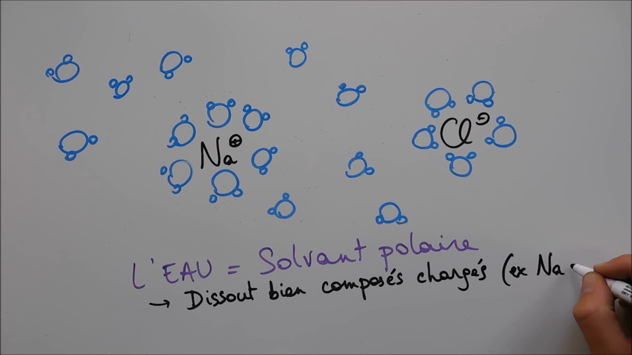 Molécules du vivant 1 - L'eau
