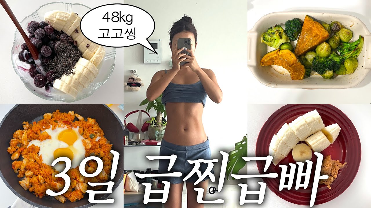 3일만에 48kg대 만드는 급찐급빠 다이어트vlog..🍳 매일하는 운동, 식단 싹 다 공개🥵