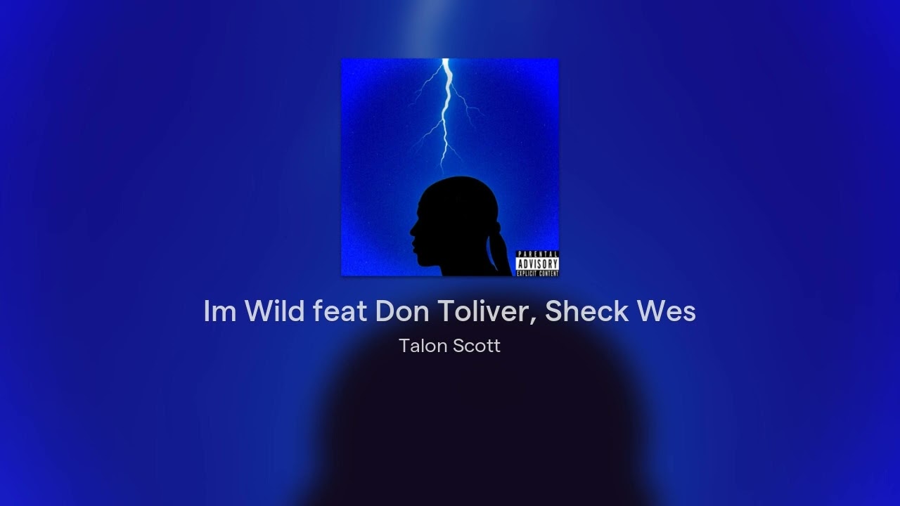 Im Wild feat Don Toliver, Sheck Wes