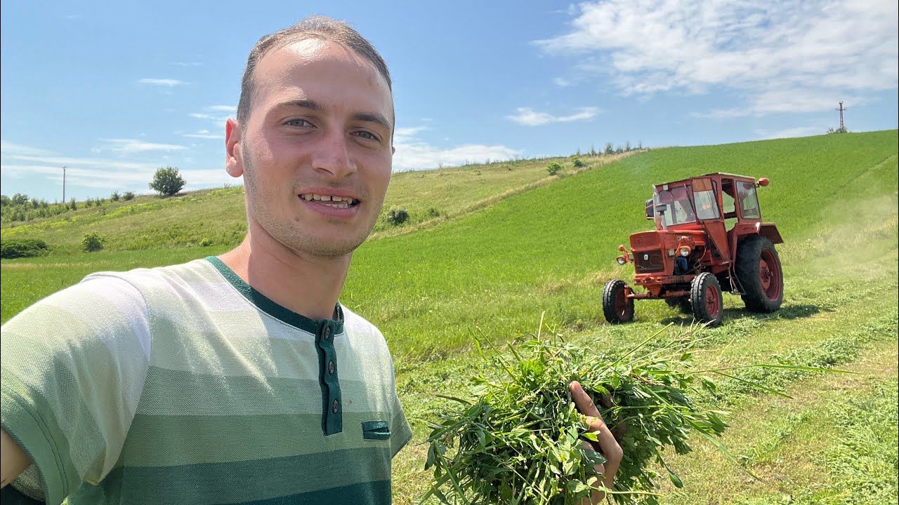 A doua coasă pe 2023, Cosesc pe ploaie!