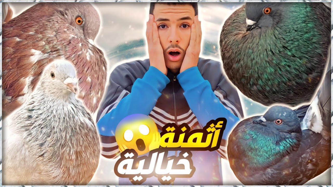سوق الأحد باب الكيسة : ارخص حمام و طيور تقدر تشري من سوق😱🔥 | عندك غاتاكل ما عندكش غاتاكل😂✨