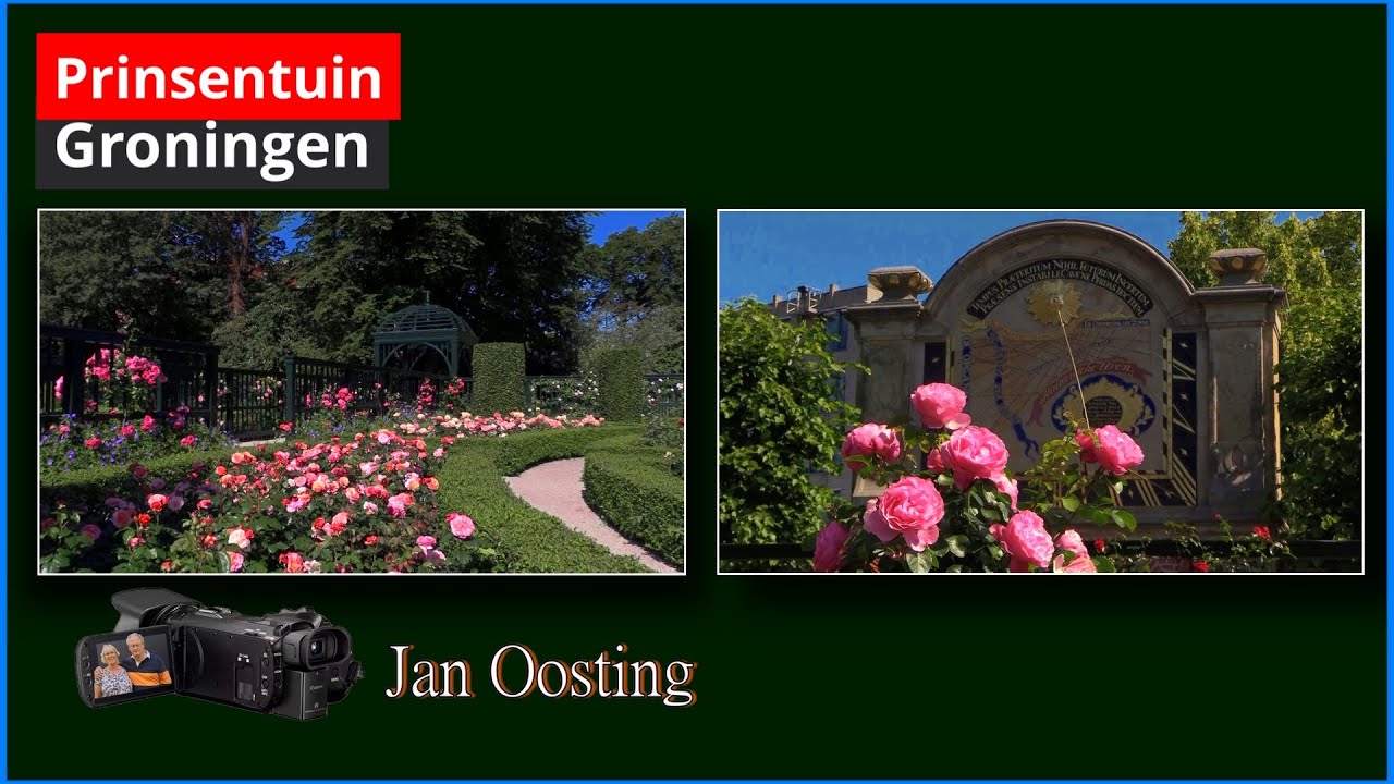 De Prinsentuin , een oase van rozen en rust in de binnenstad van Groningen.
