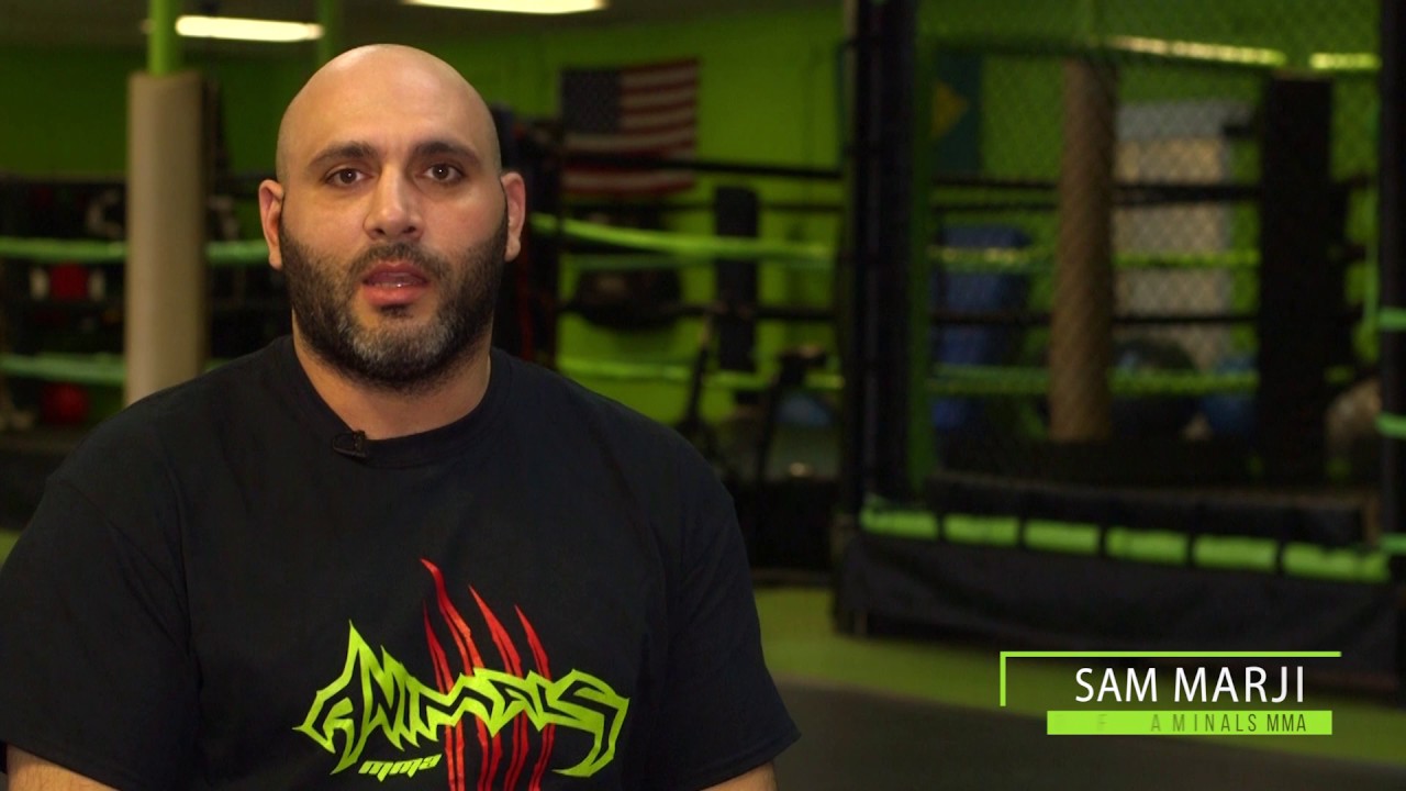 MMA in Westchester|Brazilian Jiu-Jitsu in Yonkers