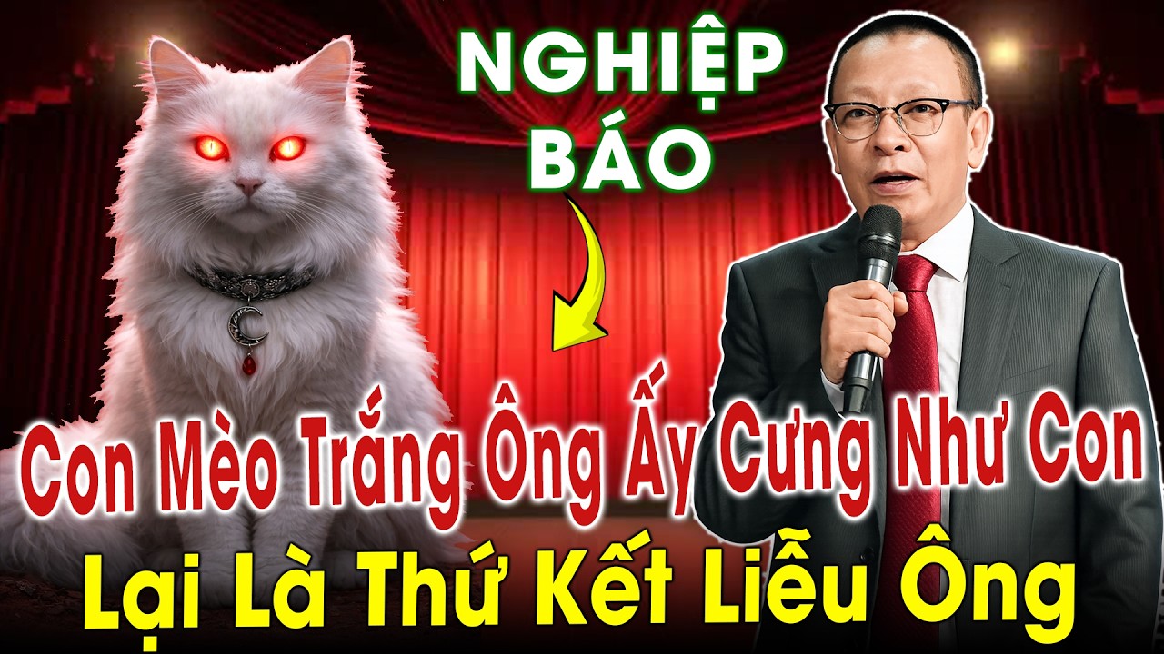 Tâm Sự Cùng Văn Sâm: Nghiệp Báo, Con Mèo Trắng Ông Ấy Cưng Như Con - Lại Là Thứ Kết Liễu Ông!