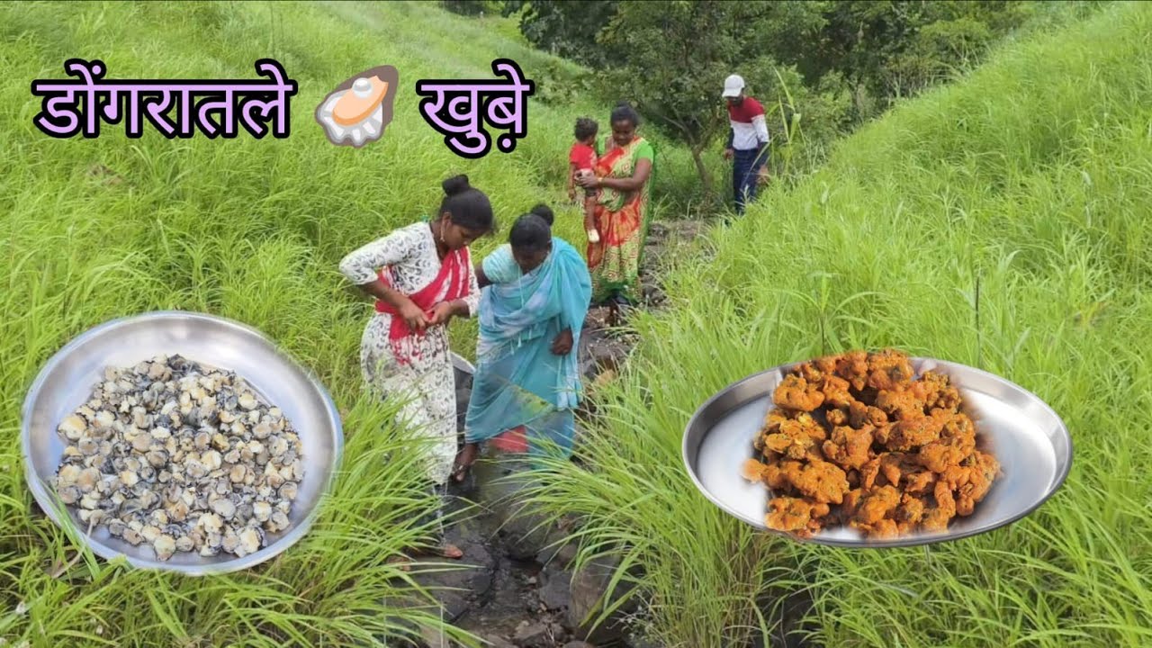 डोंगरात जाऊन पहिल्यांदाच बनवले खुबे🐚आणि मासे🐟रेसिपी पूर्ण फॅमिली🥰सोबत त्याच्यानंतर झोळून पकडले मासे 