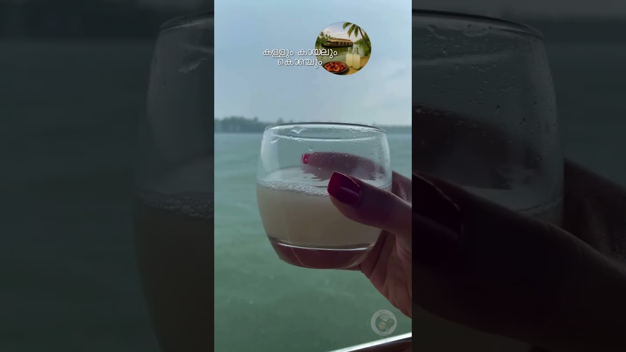 ഇത് ഇഷ്ടമില്ലാത്ത മലയാളികൾ ആരും തന്നെ കാണില്ല/ കള്ളും കായലും കൊഞ്ചും #shorts #youtubeshorts #food
