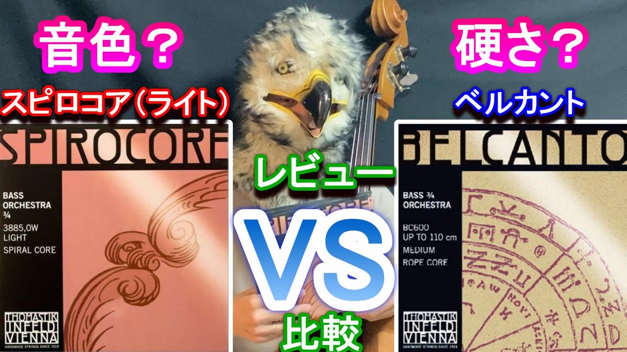 【比較！】スピロコア vs ベルカント  //  THOMASTIK-Infeld ‘’Spirocore VS Belcanto ‘’Double Bass Strings