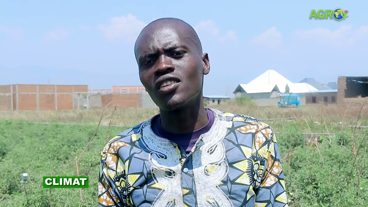 Icotuzi mu Maramvya- Bujumbura