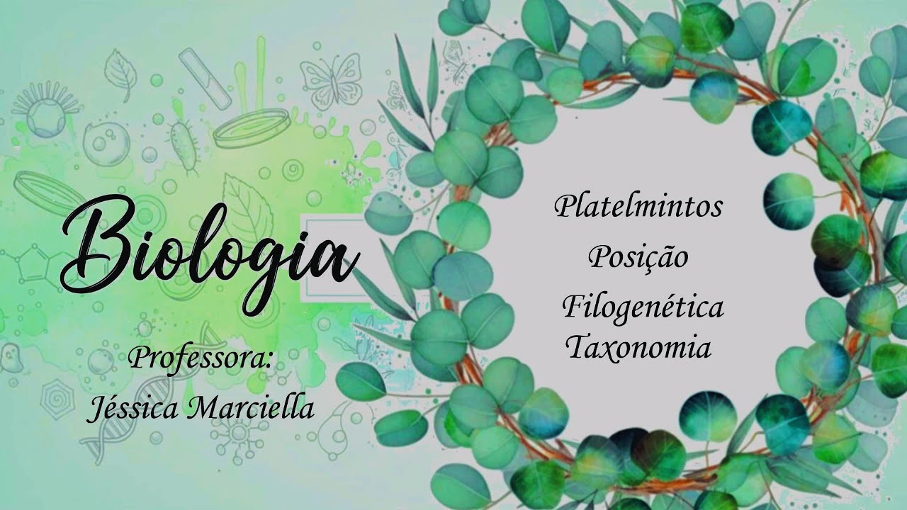 8.4.3. Platelmintos Posição Filogenética Taxonomia