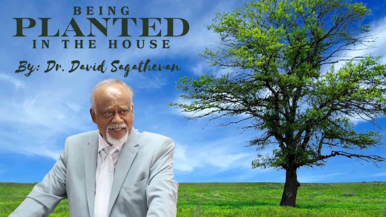 Being Planted in the House by Dr. David Sagathevan