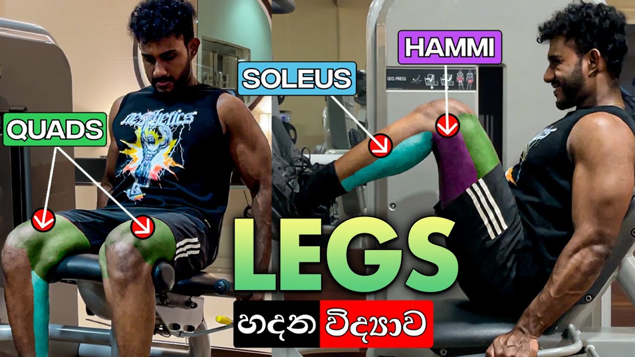 විද්‍යාත්මක Leg Muscle Guide එක | Science Based Leg Workout In Sinhala