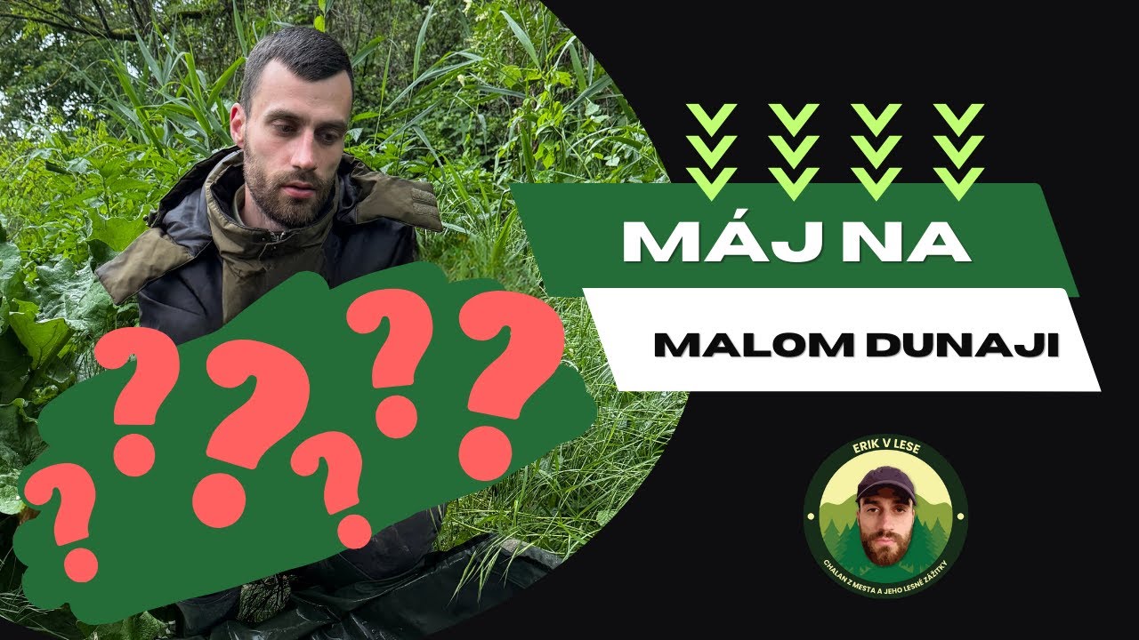 Máj na Malom Dunaji | lov kapra, carpfishing, kaprarina
