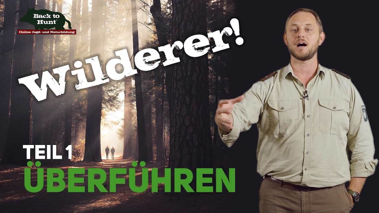 Wilderer Teil 1 | Überführen | Back to Hunt