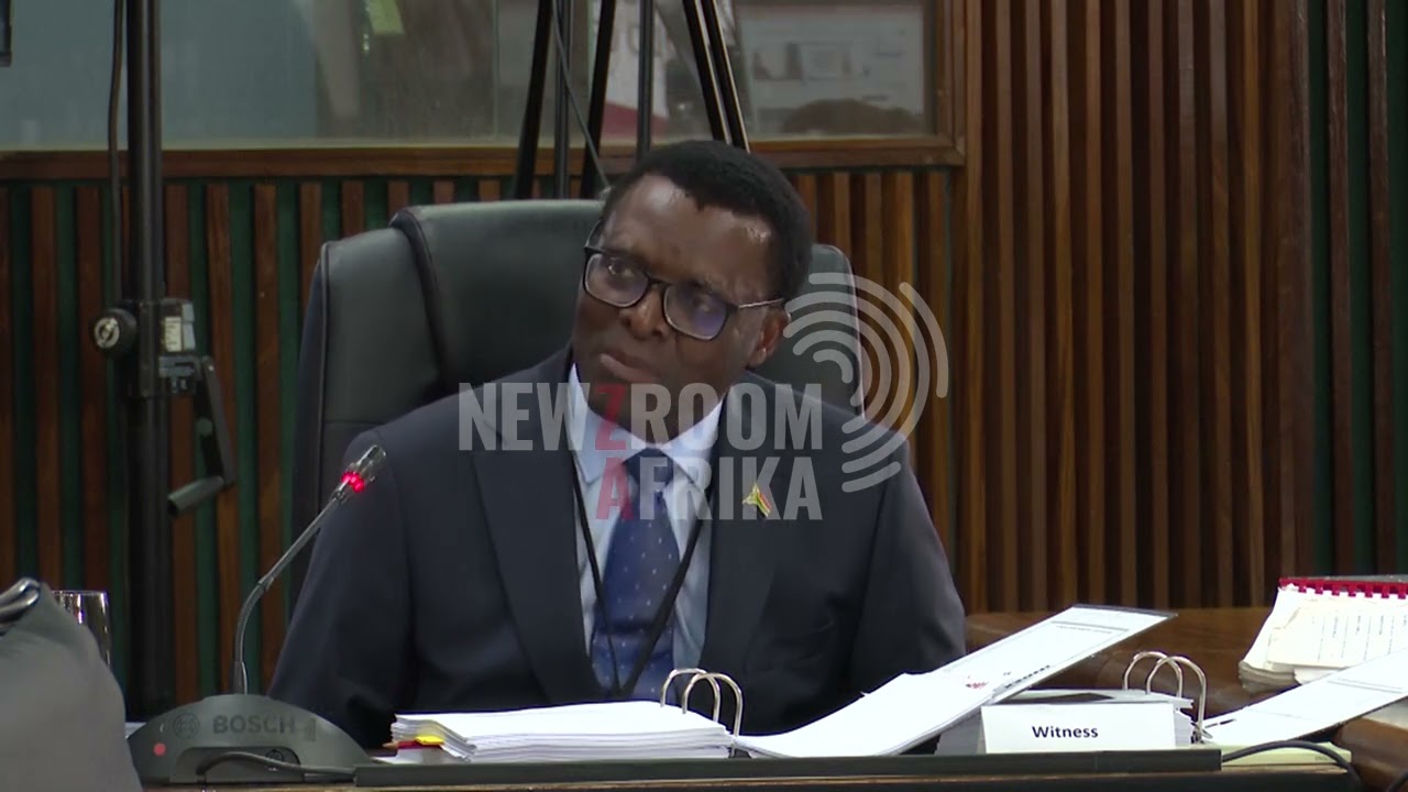 Nkabinde inquiry: Chauke&rsquo;s first witness takes the stand
