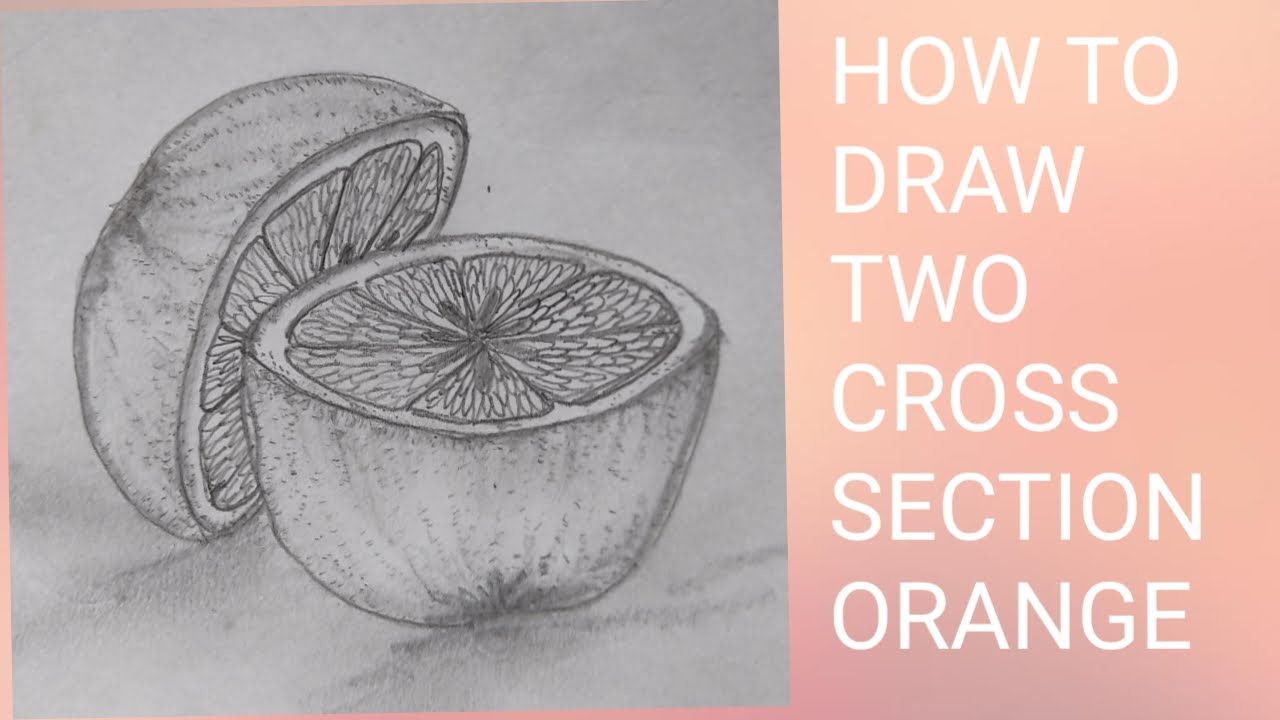 HOW TO DRAW TWO CROSS SECTION ORANGE