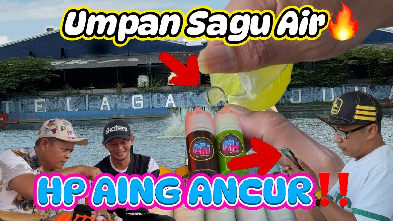 IKAN MAS SUKA BGT MAKAN ACI HE HE