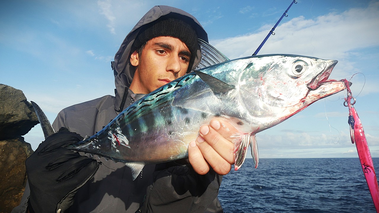 Pescata invernale a SHORE JIGGING con ALLETTERATI molto INCAVOLATI!!!