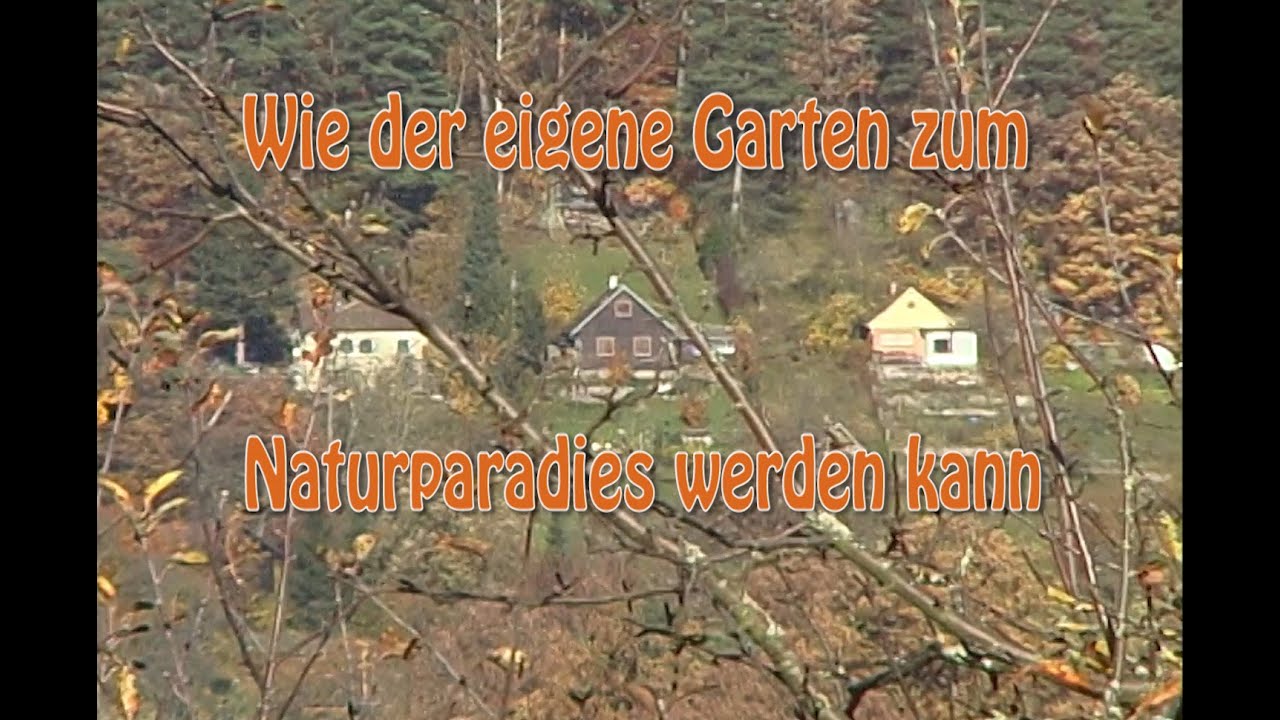 Wie der eigene Garten zum Naturparadies werden kann