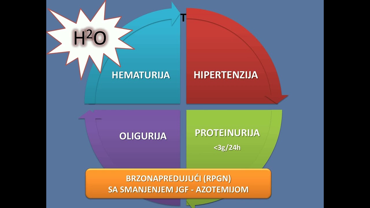 1b  Klinički sindromi u nefrologiji   doc  dr J  Trbojević Stanković   KLINIČKI SINDROMI U NEFROLOGI