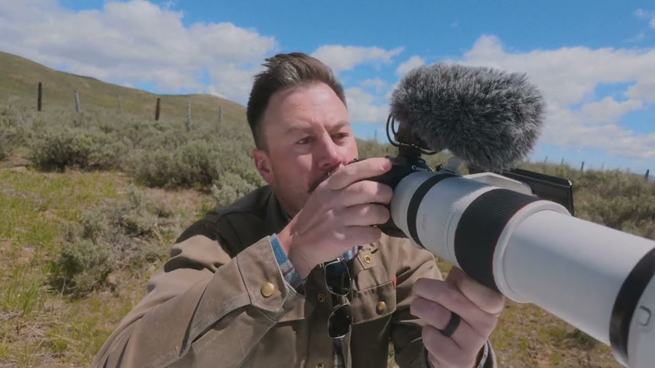 Solo Camping and Relaxing Wildlife Photagraphy
