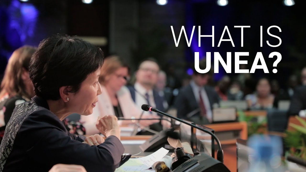 What is the United Nations Environment Assembly?