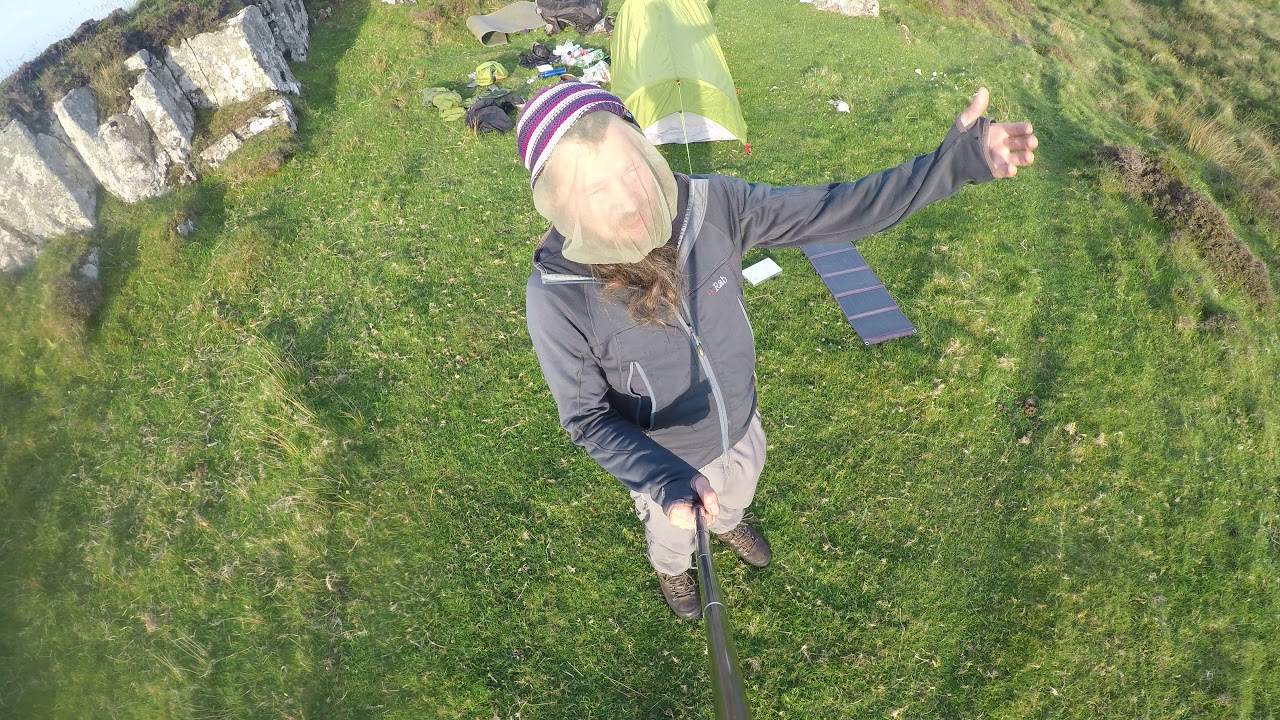 Midge head net