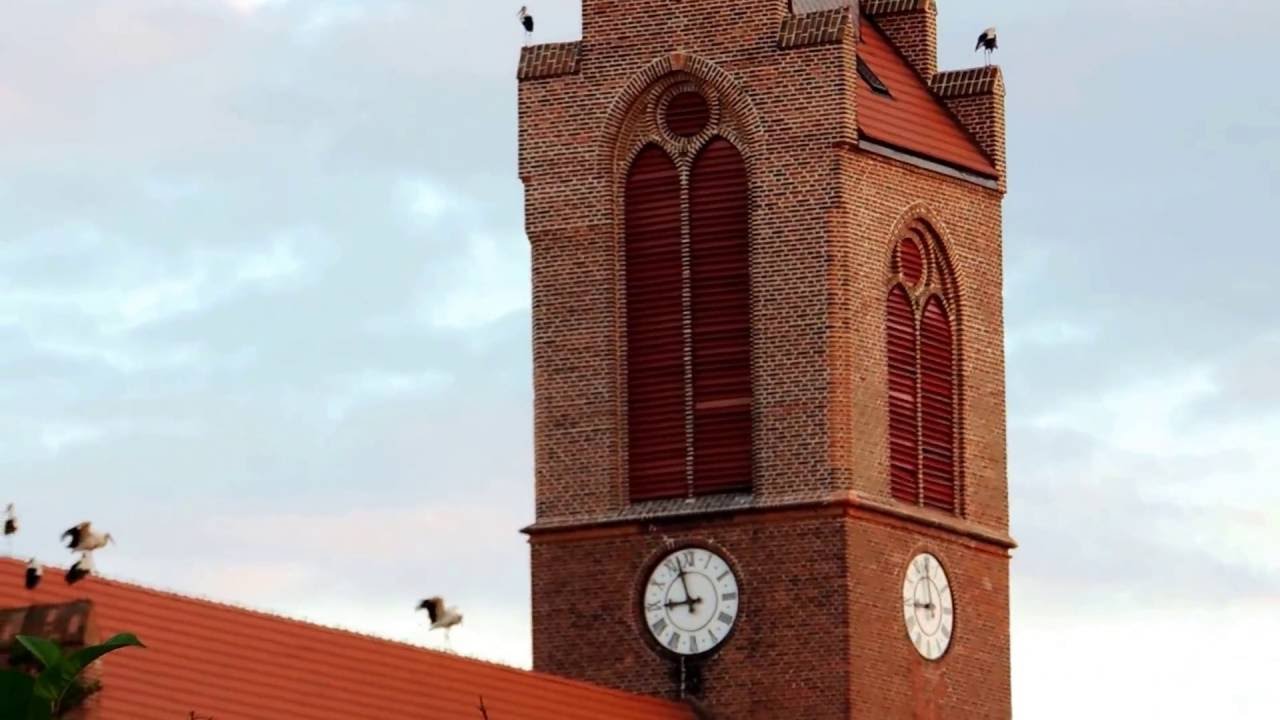 Niecodzienny widok w Lichnowach